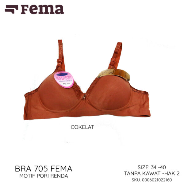 FEMA Official Shop Ecer 1 pcs Bh Bra 705 Pori Renda - Gambar 2
