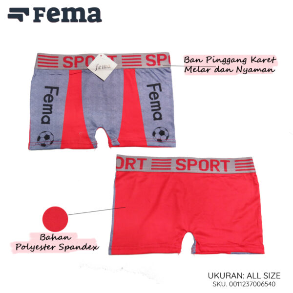 FEMA Official ECER 1 pcs CD Celana Dalam Boxer Anak 654 - Image 2