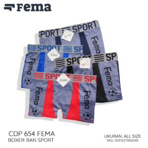 FEMA Official ECER 1 pcs CD Celana Dalam Boxer Anak 654
