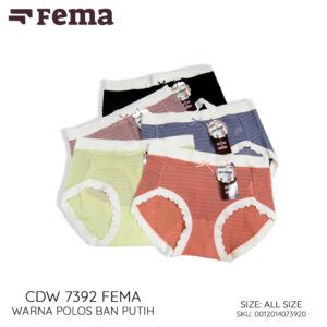 FEMA Official Shop Celana Dalam Wanita Premium Seamless 7392 Korea
