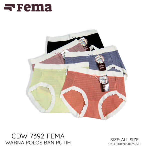 FEMA Official Shop Celana Dalam Wanita Premium Seamless 7392 Korea