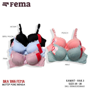 FEMA Official Shop Grosir isi 6pcs Bra 1866/869 Renda Atas Cup A