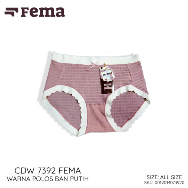 FEMA Official Shop Celana Dalam Wanita Premium Seamless 7392 Korea - Image 5