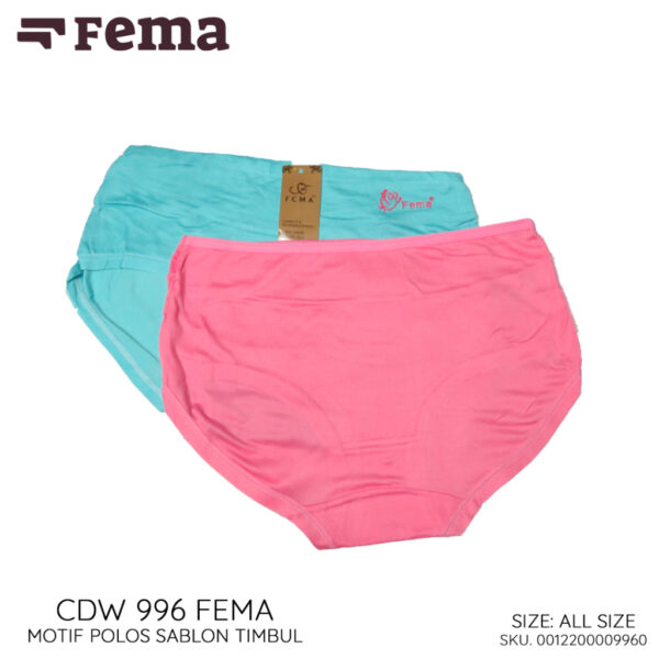 FEMA Official Shop GROSIR Isi 1 Lusin Celana Dalam Wanita 996 Polos Sablon Timbul - Image 2