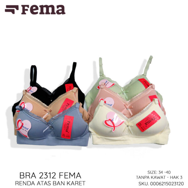 FEMA Official Shop Ecer 1 pcs BH Bra 2312/ 8046 Salur Renda Atas Ban Karet - Image 4