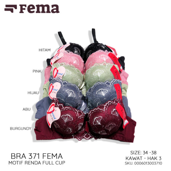 FEMA Official Shop Ecer 1 pcs Bh Bra 371 Motif Renda Kawat Hak 3 - Image 2