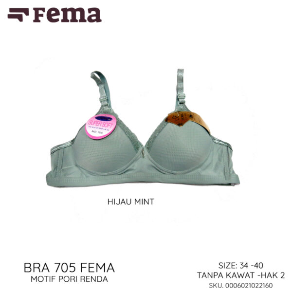 FEMA Official Shop Ecer 1 pcs Bh Bra 705 Pori Renda - Gambar 3