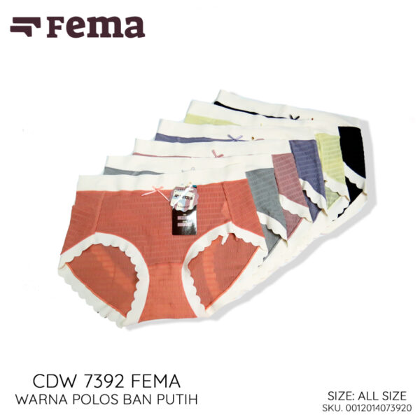 FEMA Official Shop Celana Dalam Wanita Premium Seamless 7392 Korea - Image 2