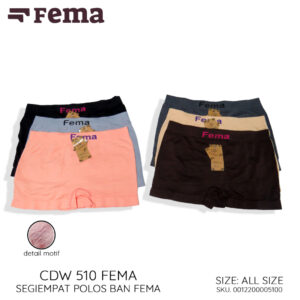 FEMA Official Shop GROSIR 1 Lusin Celana Dalam Wanita Segiempat Rajut 510/511/812