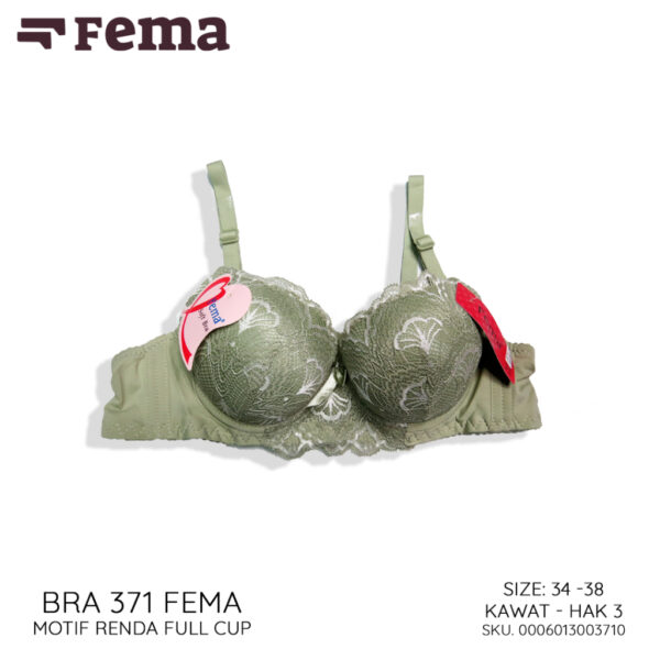 FEMA Official Shop Ecer 1 pcs Bh Bra 371 Motif Renda Kawat Hak 3 - Image 5