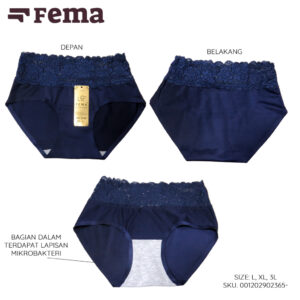 FEMA Official Shop GROSIR 1 Lusin Celana Dalam Wanita 2365 Seamless Renda Tanpa Jahit