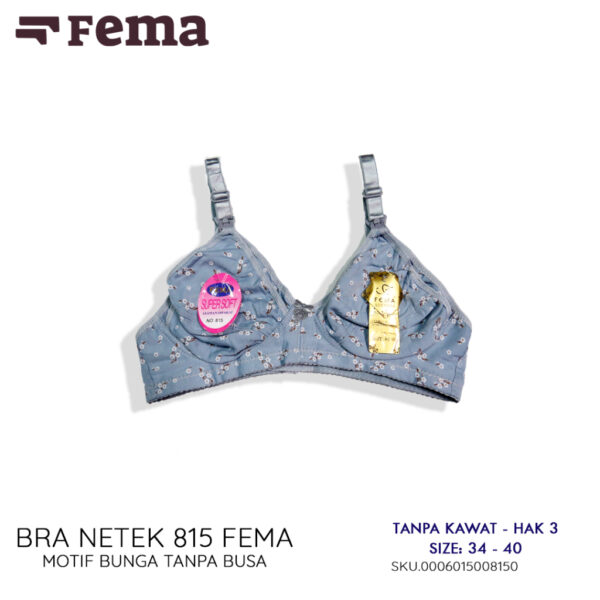 FEMA Official Shop Ecer 1 Pcs BH Bra 815 Netek Menyusui Maternity Pengait Depan
