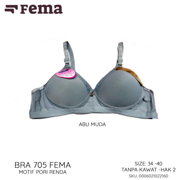 FEMA Official Shop Ecer 1 pcs Bh Bra 705 Pori Renda - Gambar 5