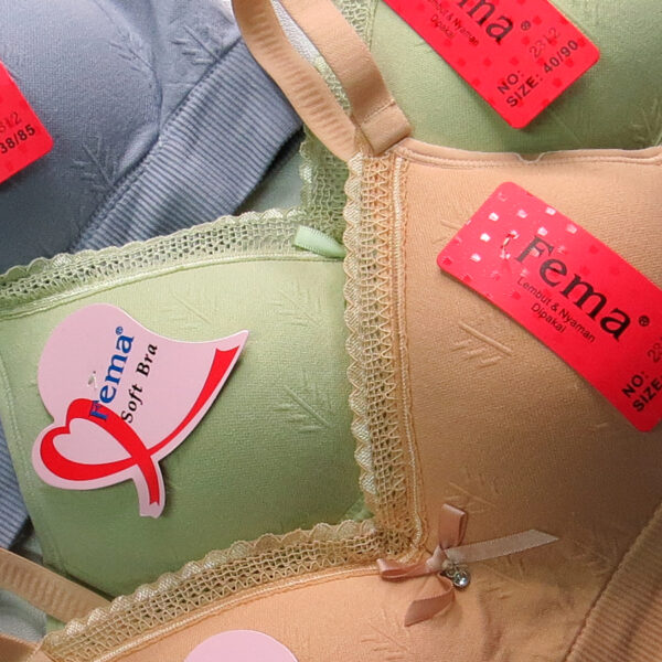 FEMA Official Shop Ecer 1 pcs BH Bra 2312/ 8046 Salur Renda Atas Ban Karet - Image 5