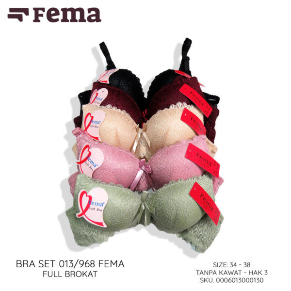 FEMA Official Shop Ecer 1 Pcs BH Bra Set 013/968 Brokat Tanpa Kawat