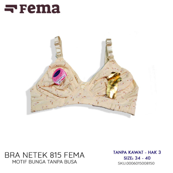 FEMA Official Shop Ecer 1 Pcs BH Bra 815 Netek Menyusui Maternity Pengait Depan - Image 3