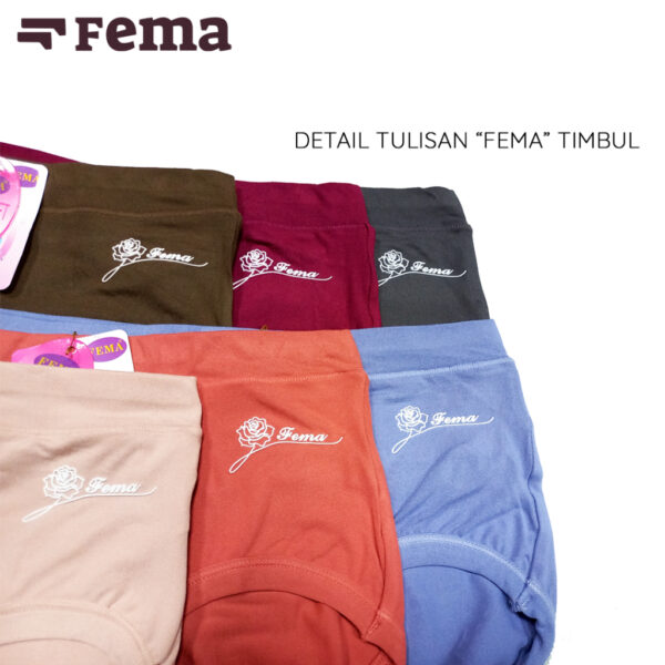 FEMA Official Shop ECER 1 pcs Celana Dalam Wanita 362 Hyget Highwaist Korset Polos - Image 4