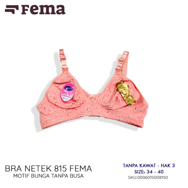 FEMA Official Shop Ecer 1 Pcs BH Bra 815 Netek Menyusui Maternity Pengait Depan - Image 2