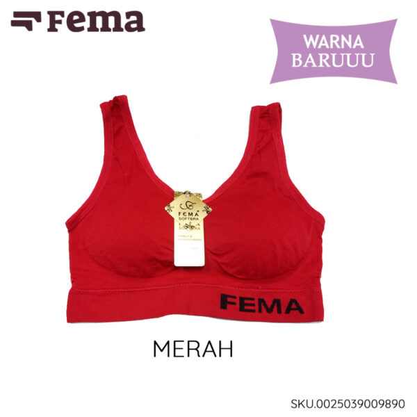 FEMA Official Shop Ecer 1 pcs Miniset Busa Sport Bra Premium 989/987 Import - Gambar 2