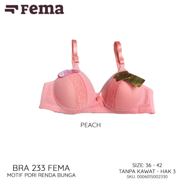 FEMA Official Shop Ecer 1 pcs BH Bra 233/6007 Motif Pori Renda Bunga - Gambar 2
