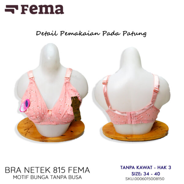 FEMA Official Shop Ecer 1 Pcs BH Bra 815 Netek Menyusui Maternity Pengait Depan - Image 4
