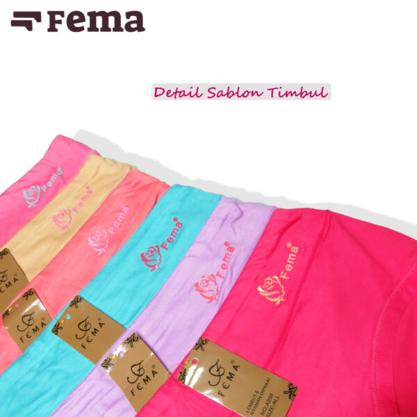 FEMA Official Shop GROSIR Isi 1 Lusin Celana Dalam Wanita 996 Polos Sablon Timbul - Image 3