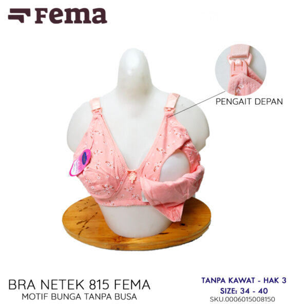 FEMA Official Shop Ecer 1 Pcs BH Bra 815 Netek Menyusui Maternity Pengait Depan - Image 5