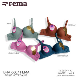 FEMA Official Shop Ecer 1 pcs Bh Bra 6607 Pengait 2 Polos Salur Kawat