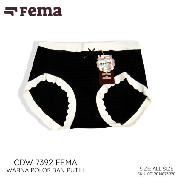 FEMA Official Shop Celana Dalam Wanita Premium Seamless 7392 Korea - Image 3