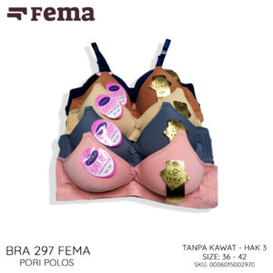 FEMA Official Shop Ecer 1 pcs Bh Bra 297 Hak 3 Full Pori Jumbo Import