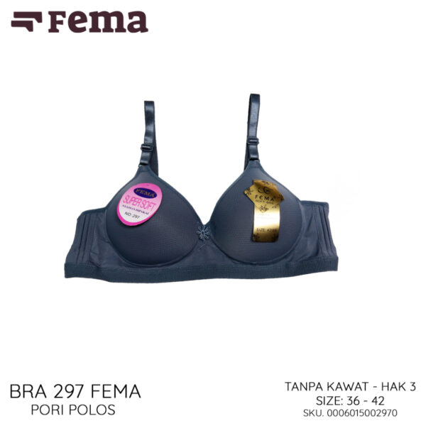 FEMA Official Shop Ecer 1 pcs Bh Bra 297 Hak 3 Full Pori Jumbo Import - Image 4