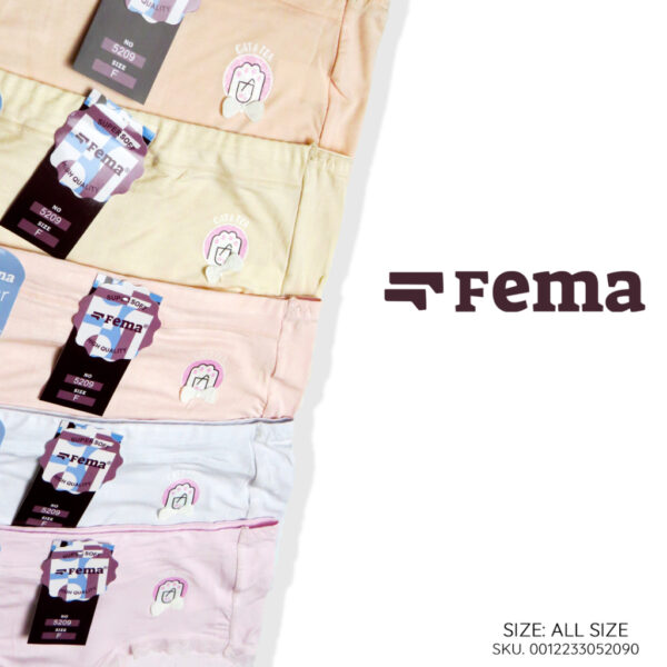 FEMA Official Shop Ecer 1 Pcs Celana Dalam Wanita 5209/5201 Warna Polos Renda Bwah - Image 2