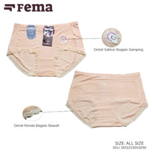 FEMA Official Shop Ecer 1 Pcs Celana Dalam Wanita 5209/5201 Warna Polos Renda Bwah