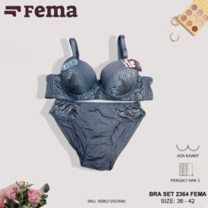 FEMA Official Shop Ecer 1 pcs BRA SET 2364 Motif Brokat CD dan Bra Kawat