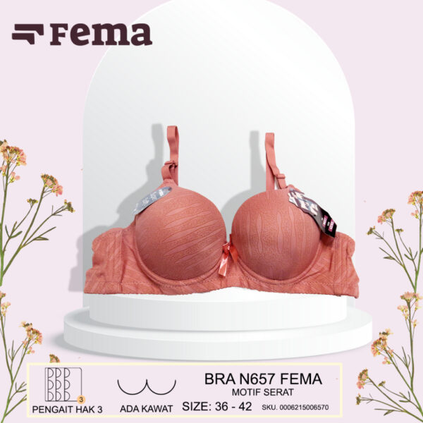 FEMA Official Shop Ecer 1 Pcs BH Bra N657 Motif Serat Kawat - Image 3