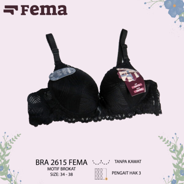 FEMA Official Shop Ecer 1 Pcs BH Bra 2615 Renda Brokat Tanpa Kawat - Image 2