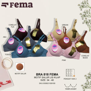 FEMA Official Shop Ecer 1 Pcs BH Bra 818 Cup Kecil Salur Lis Kilap