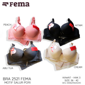 FEMA Official Shop Ecer 1 Pcs BH Bra 2521 Motif Salur Pori