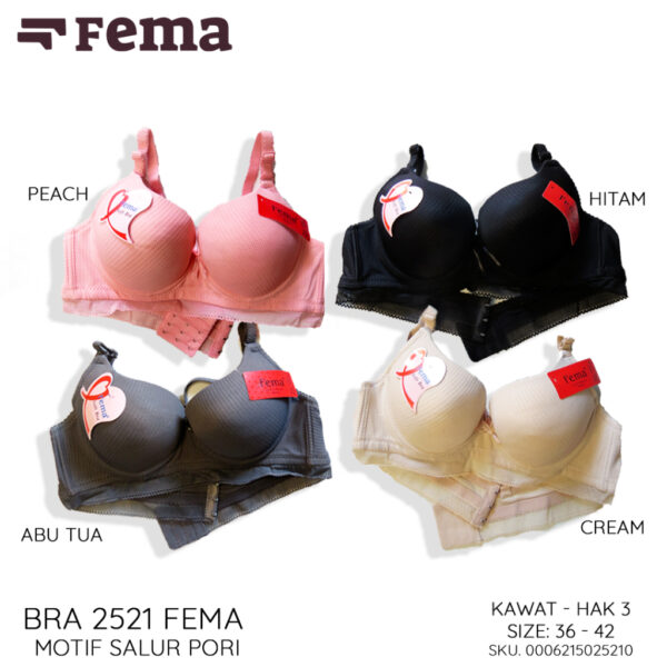 FEMA Official Shop Ecer 1 Pcs BH Bra 2521 Motif Salur Pori