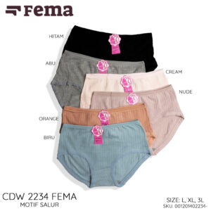 FEMA Official Shop Ecer 1 Pcs Celana Dalam Wanita 2234 Salur