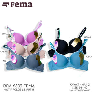 FEMA Official Shop Ecer 1 Pcs BH Bra 6603 Motif Polos Lis Putih
