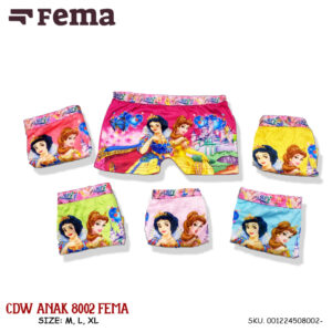 FEMA Official Shop GROSIR 1 LUSIN Celana Dalam Segiempat Anak Cewek Aneka Motif Princess/ Cowok Superhero