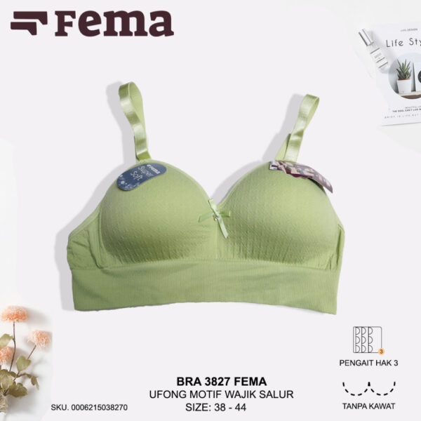 FEMA Official Shop Ecer 1 Pcs BH Bra 3827 Ufong Rajut Salur Big Size Jumbo - Image 2