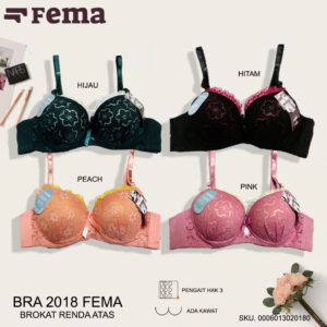 FEMA Official Shop Ecer 1 pcs Bh Bra 2018 Renda Brokat Bunga
