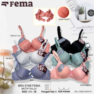 FEMA Official Shop Ecer 1 Pcs BH Bra 574B Motif Salju Kawat Cup Kecil