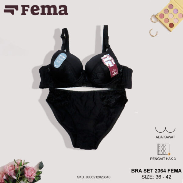 FEMA Official Shop Ecer 1 pcs BRA SET 2364 Motif Brokat CD dan Bra Kawat - Image 2