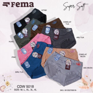 FEMA Official Shop ECER 1 pcs Celana Dalam Wanita 5019/5018 Hyget Highwaist Lis Warna JUMBO Big Size