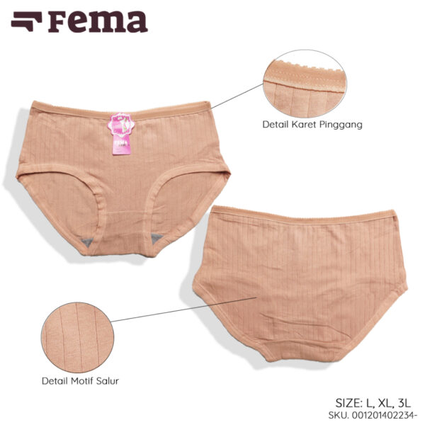 FEMA Official Shop Ecer 1 Pcs Celana Dalam Wanita 2234 Salur - Gambar 2