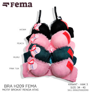 FEMA Official Shop Ecer 1 pcs Bh Bra H209 Brokat Premium Full Cup