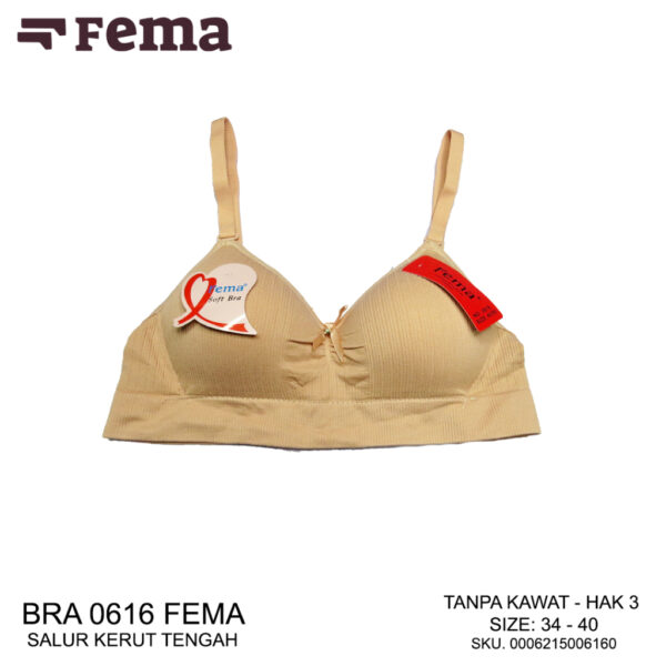 FEMA Official Shop Ecer 1 pcs BH Bra 0616 Salur Kerut Tengah Ban Karet - Image 2